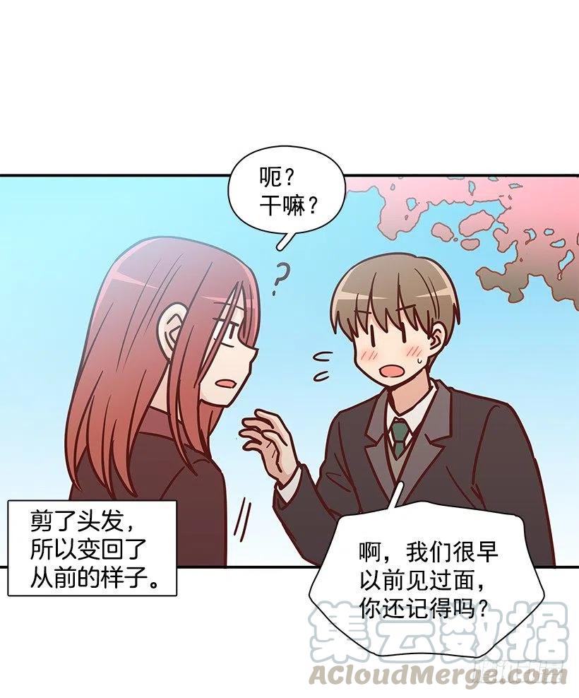 崭新的夏天(1/2)-第233话