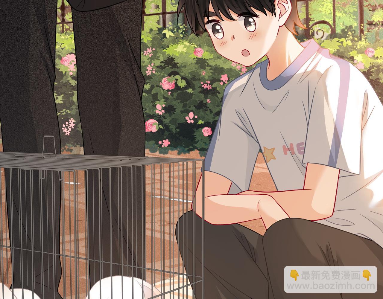 第36话 和解礼物(1/3)-第37话