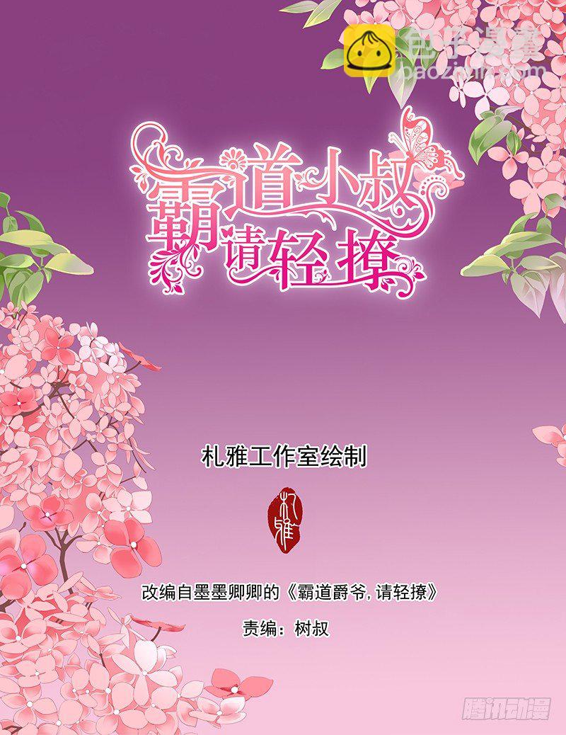 霸道小叔，請輕撩！ - 小叔，你說過不插手的 - 2