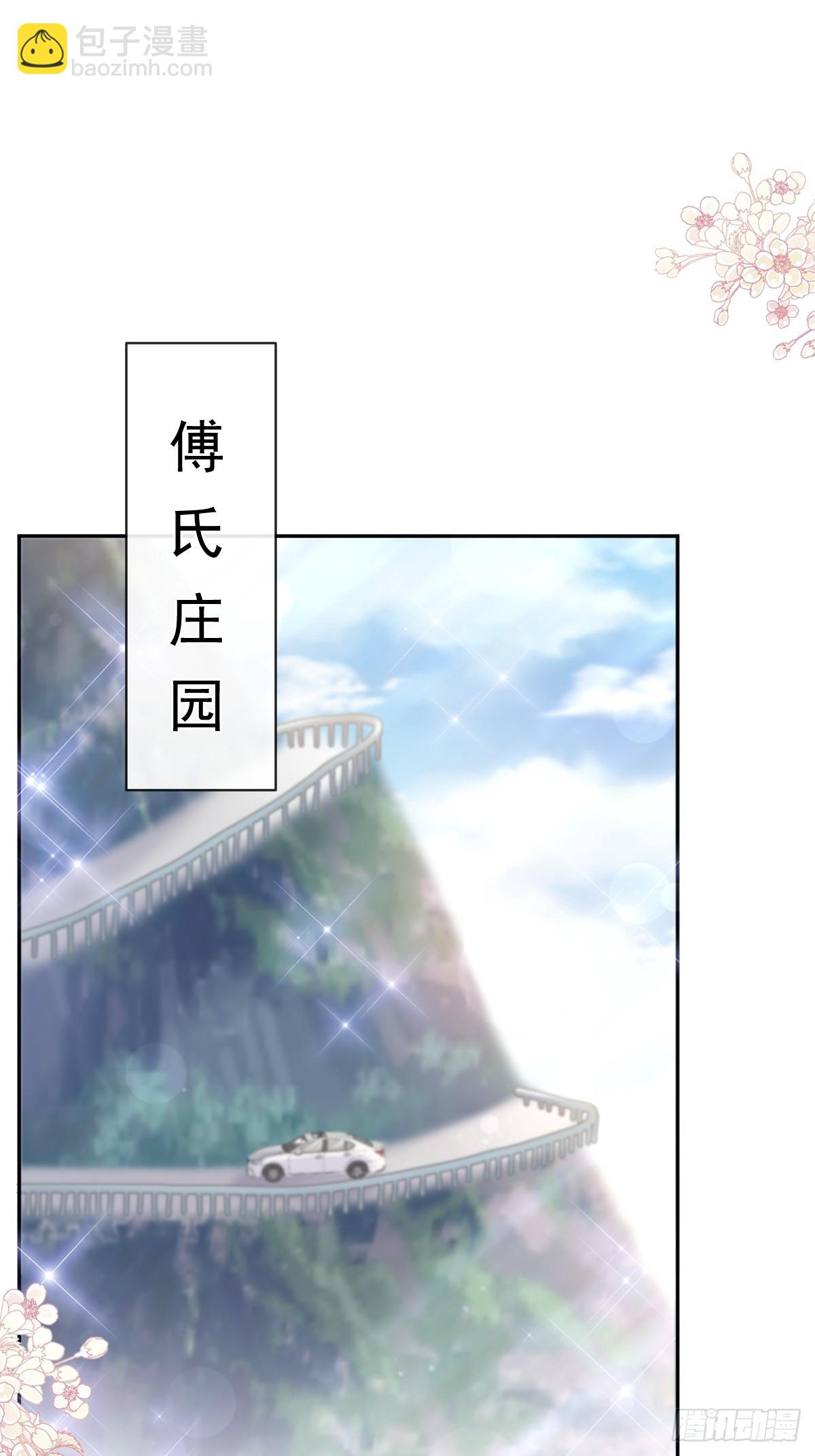 霸道總裁輕點愛 - 329 傅媽媽的歡迎儀式(1/2) - 6