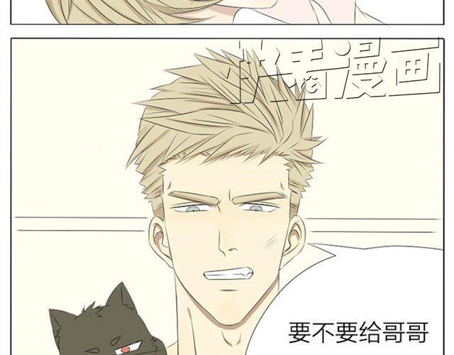 第7、8话 连城，我喜欢你-第3话