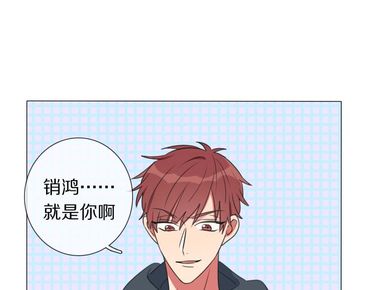 第2话 朱雀登场！(1/3)-第3话