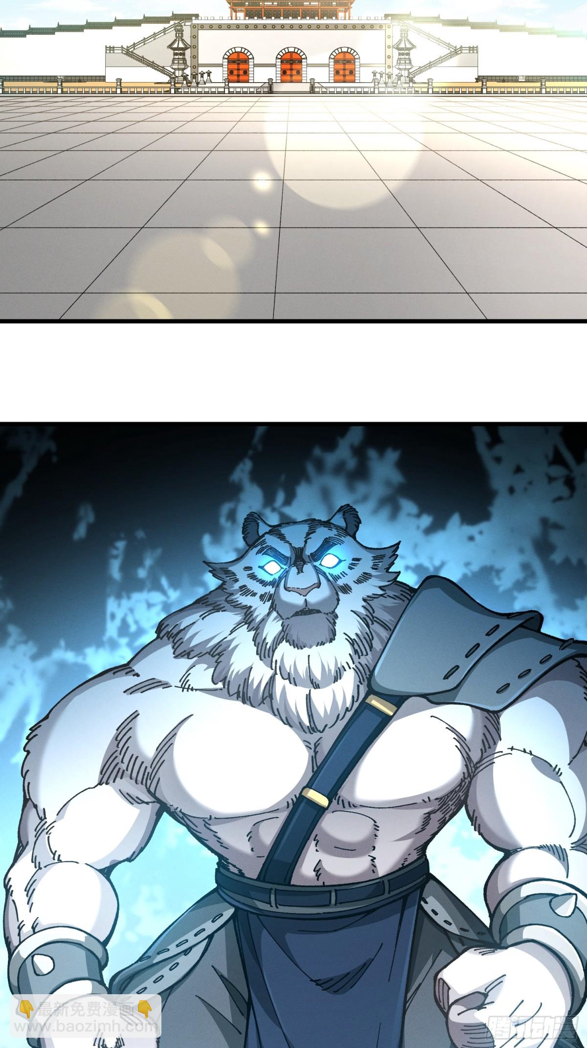 37.虎师父(1/2)-第31话