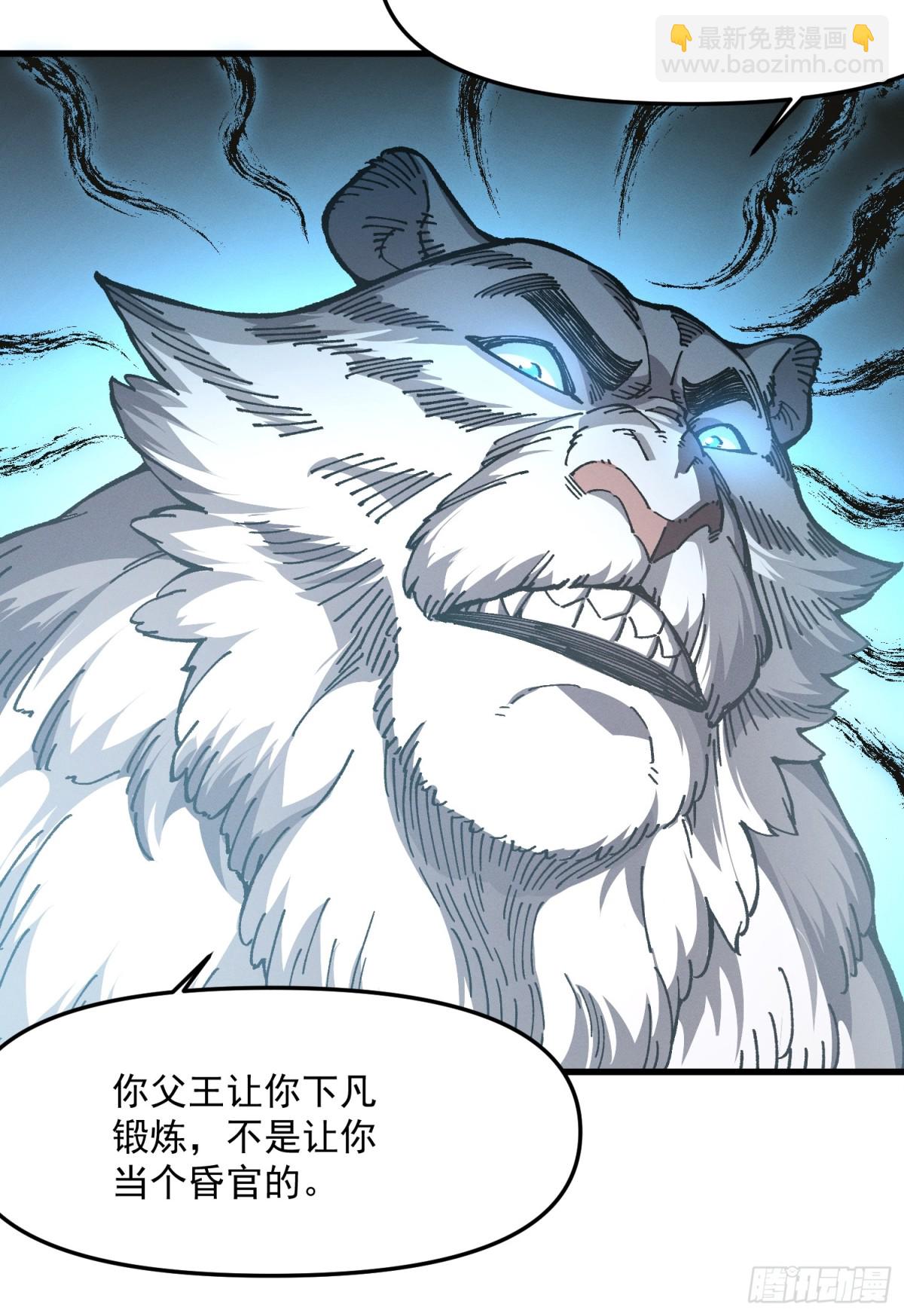 37.虎师父(1/2)-第31话