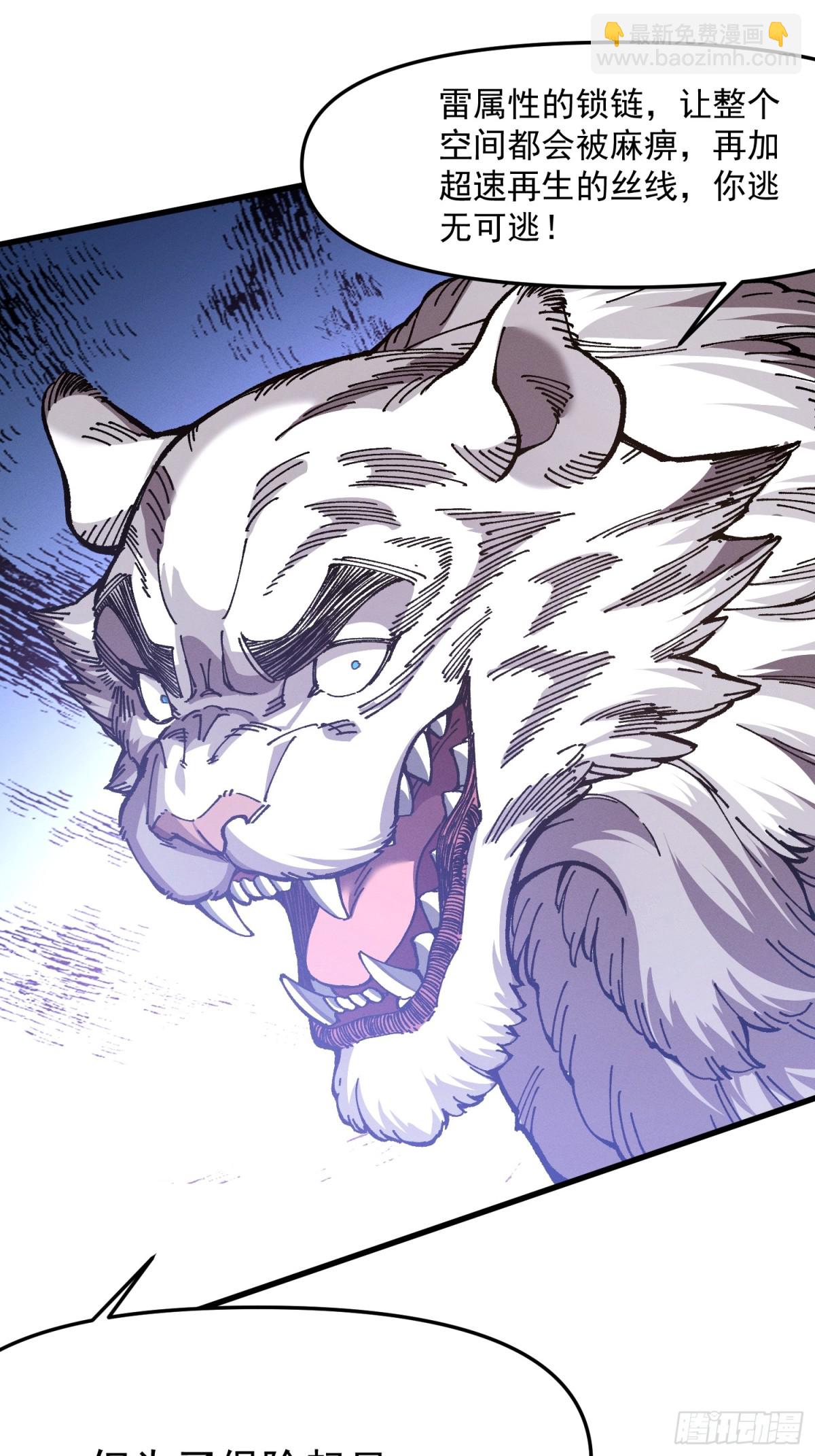 37.虎师父(1/2)-第31话