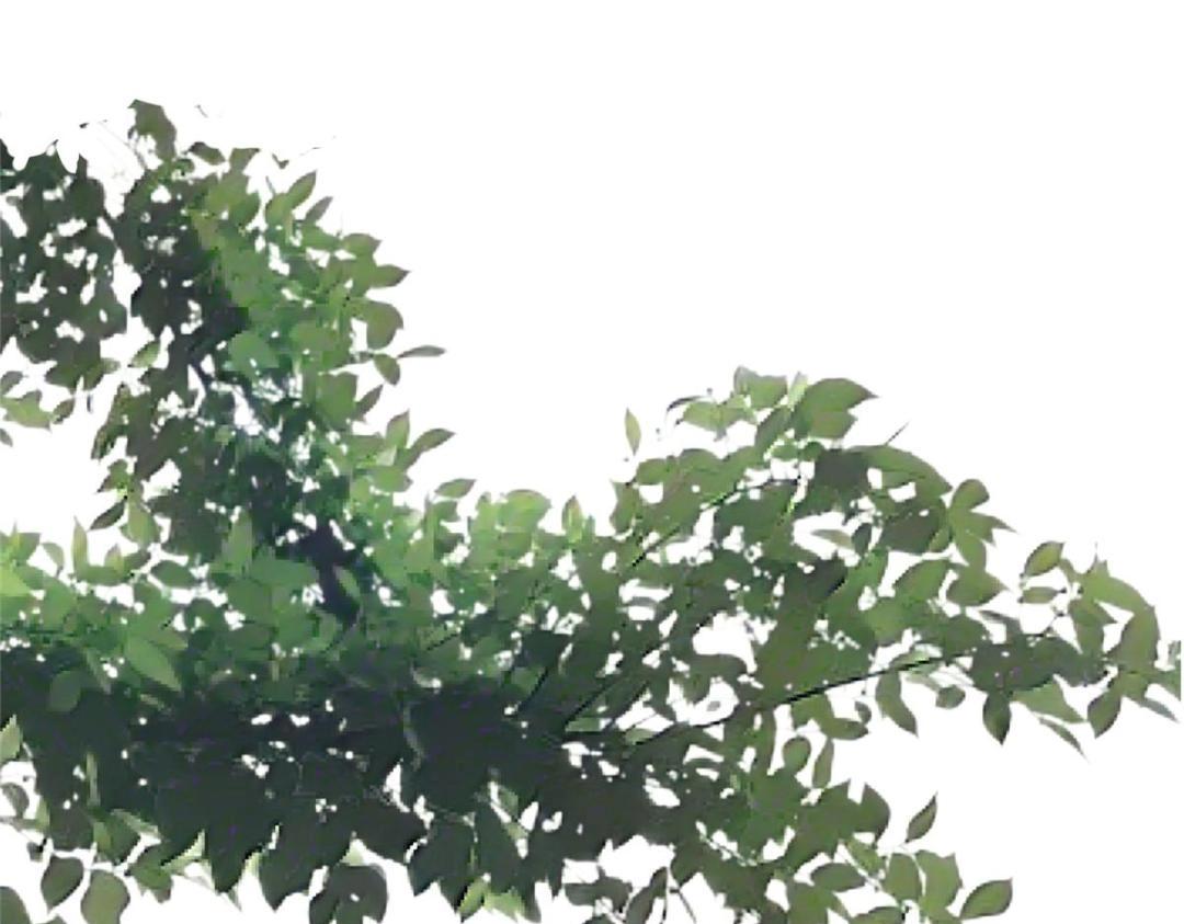 52 自尽(1/2)-第53话