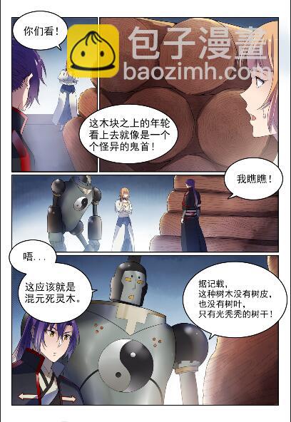 百鍊成神 - 第570話 星璇精鐵 - 4