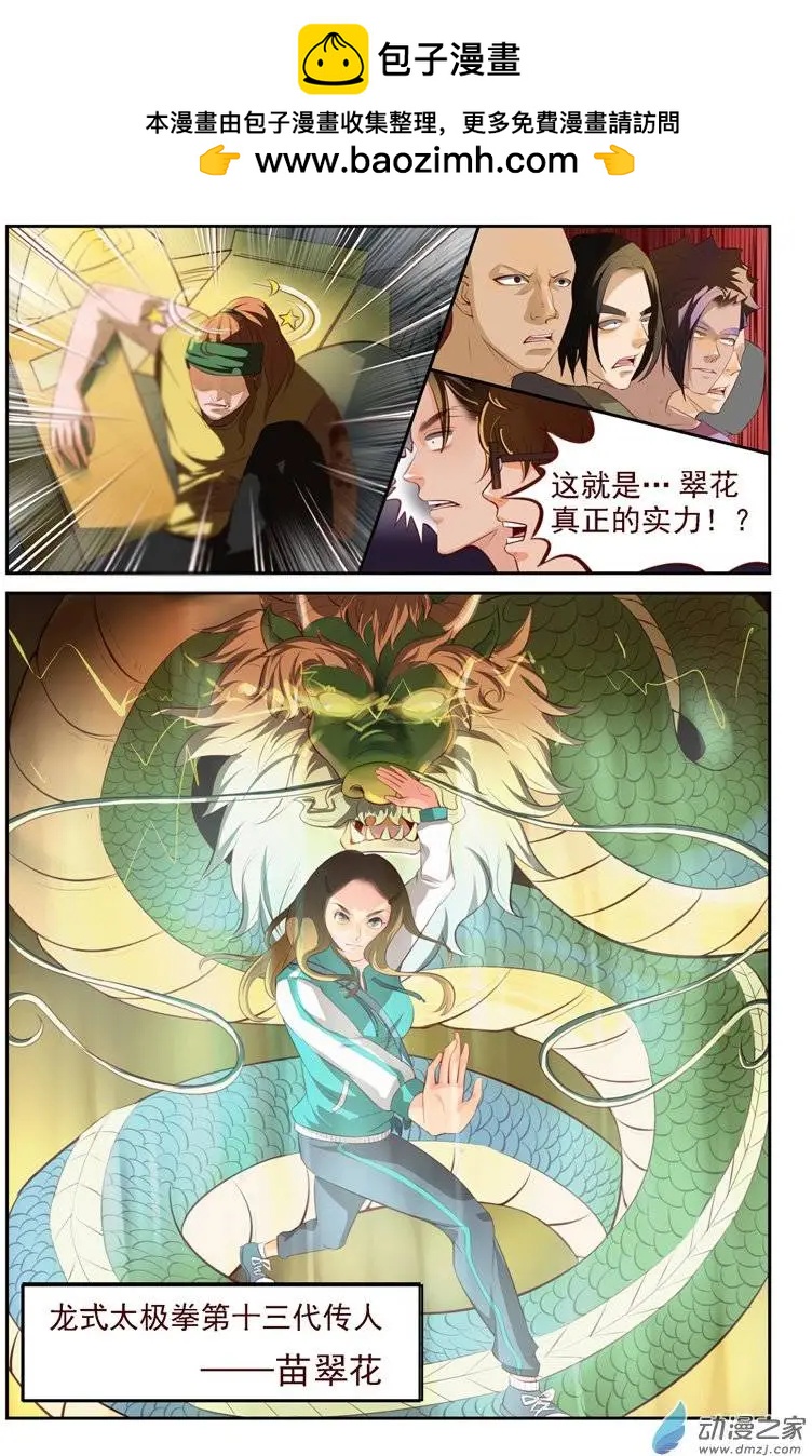 第13回 龙氏太极-第13话