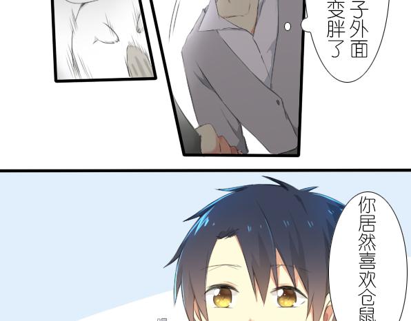 第11话 来养仓鼠吧-第13话