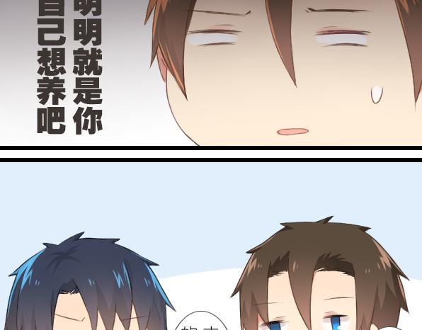 第11话 来养仓鼠吧-第13话