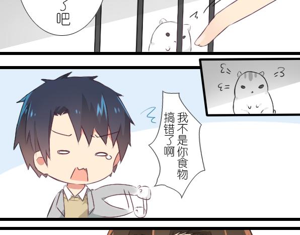 第11话 来养仓鼠吧-第13话