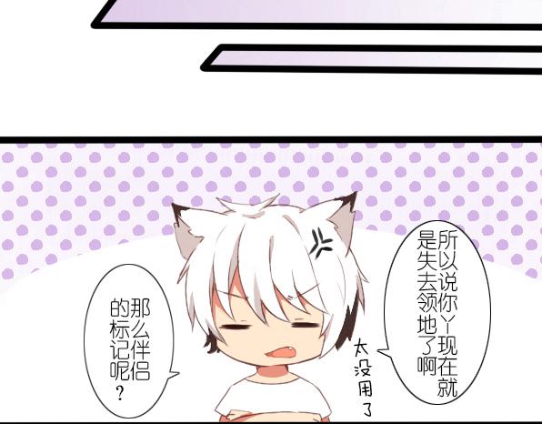 番外 熊兔（6）-第41话