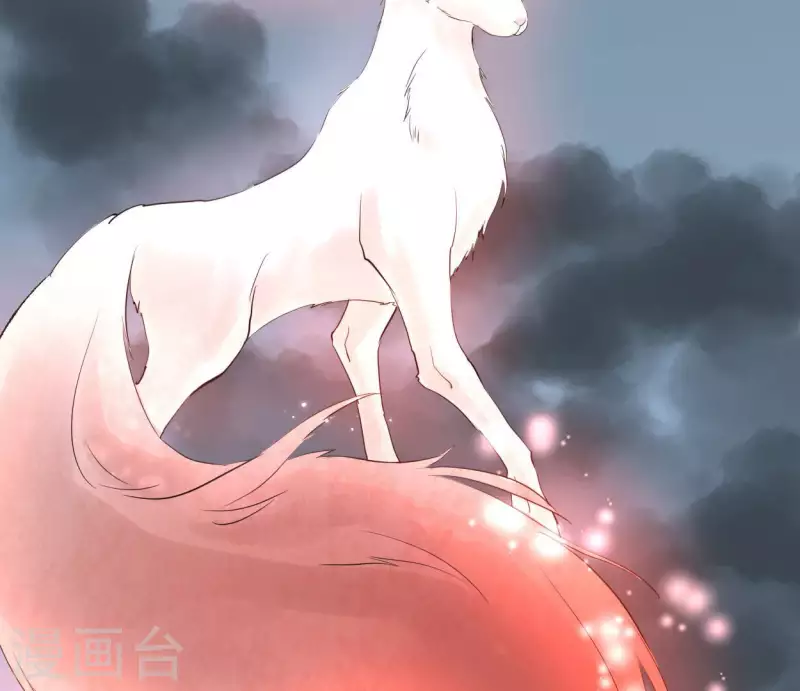 第49话 白箬仙(1/3)-第49话