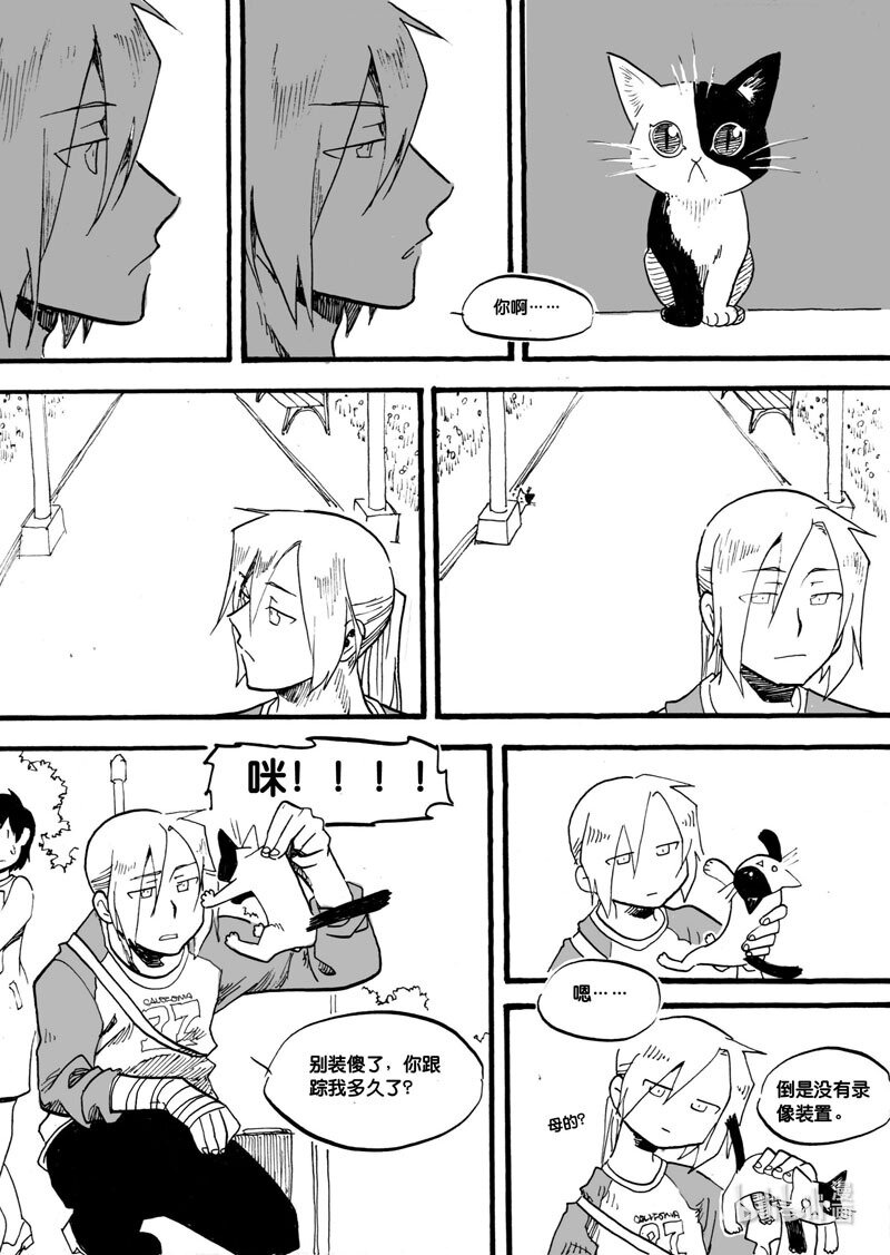 Act. 9 猫的漫长一天-第9话