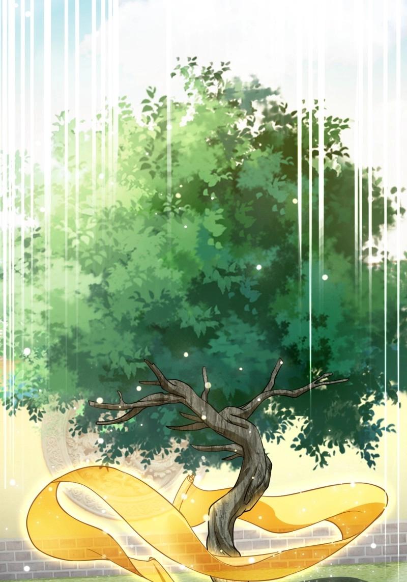 第32话 记忆苏醒(1/2)-第79话