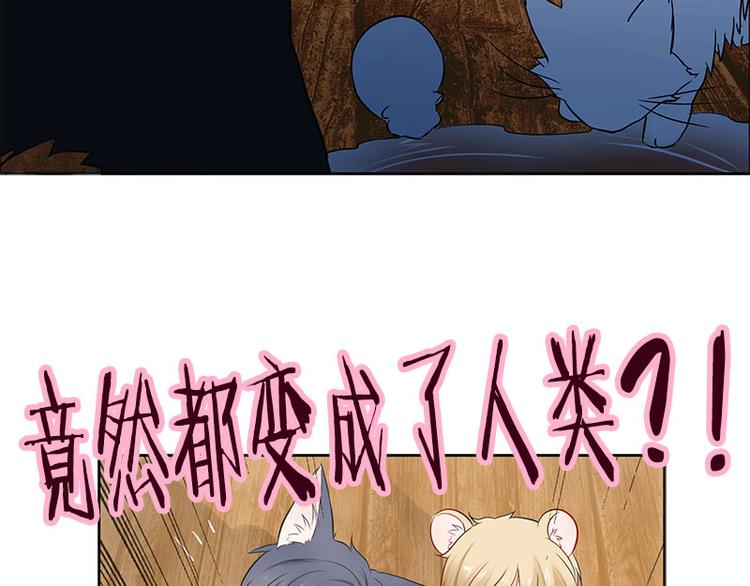 序章 这群可爱的家伙们！-第1话