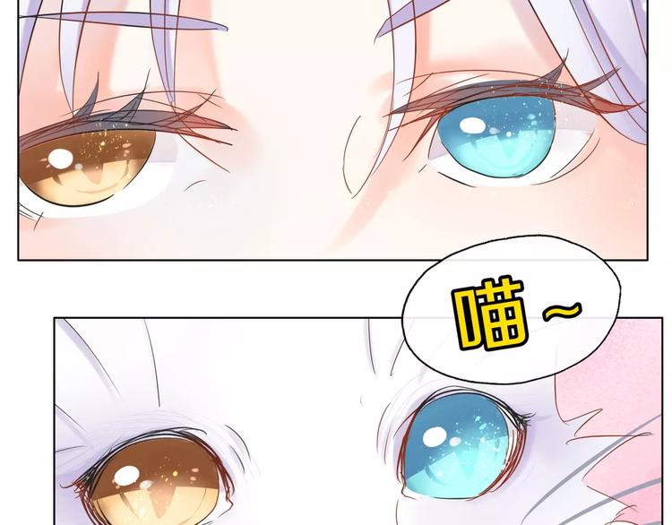 第2话 用动物本能穿衣服！(1/3)-第3话