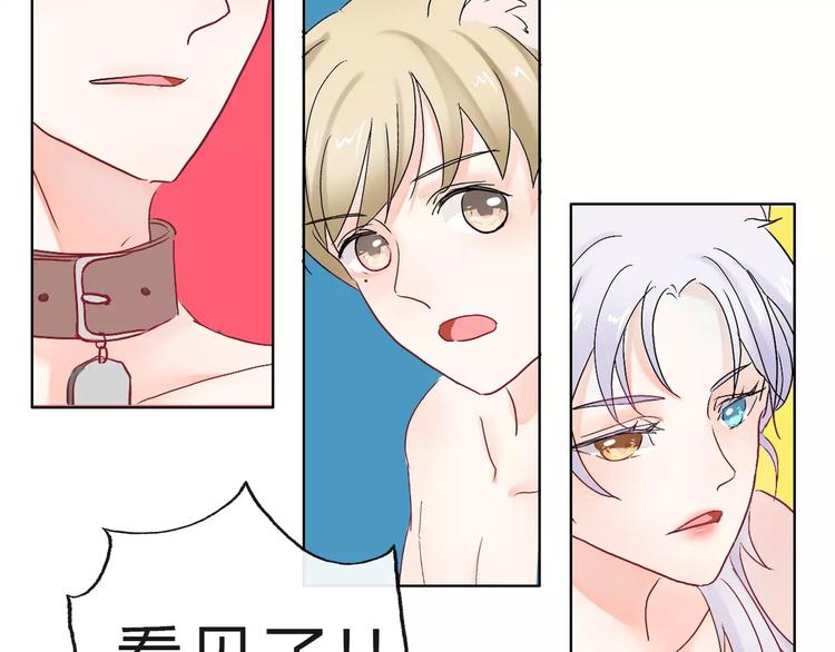 第2话 用动物本能穿衣服！(1/3)-第3话