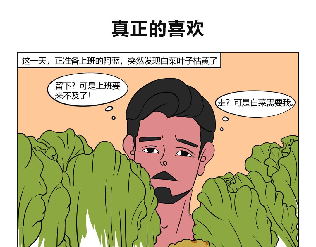 29.大白菜呀，我的爱呀~-第29话