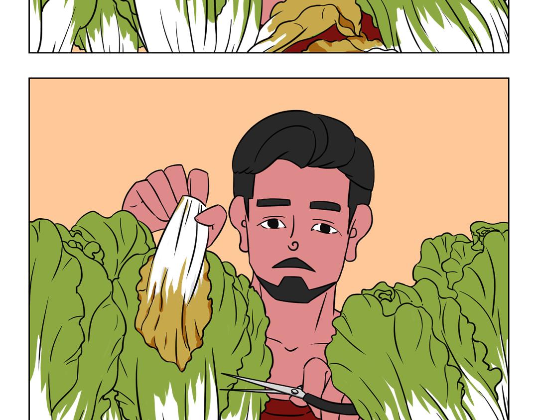 29.大白菜呀，我的爱呀~-第29话