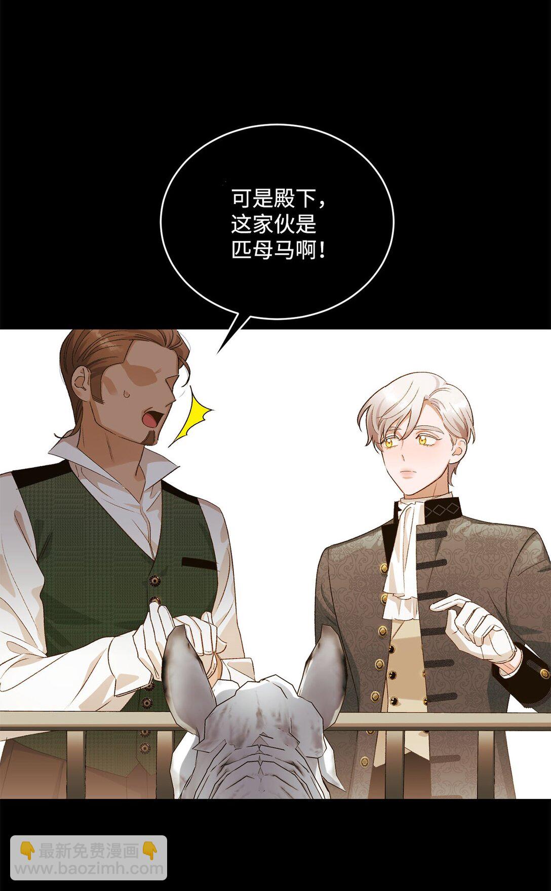 11 魔法之源(1/2)-第11话