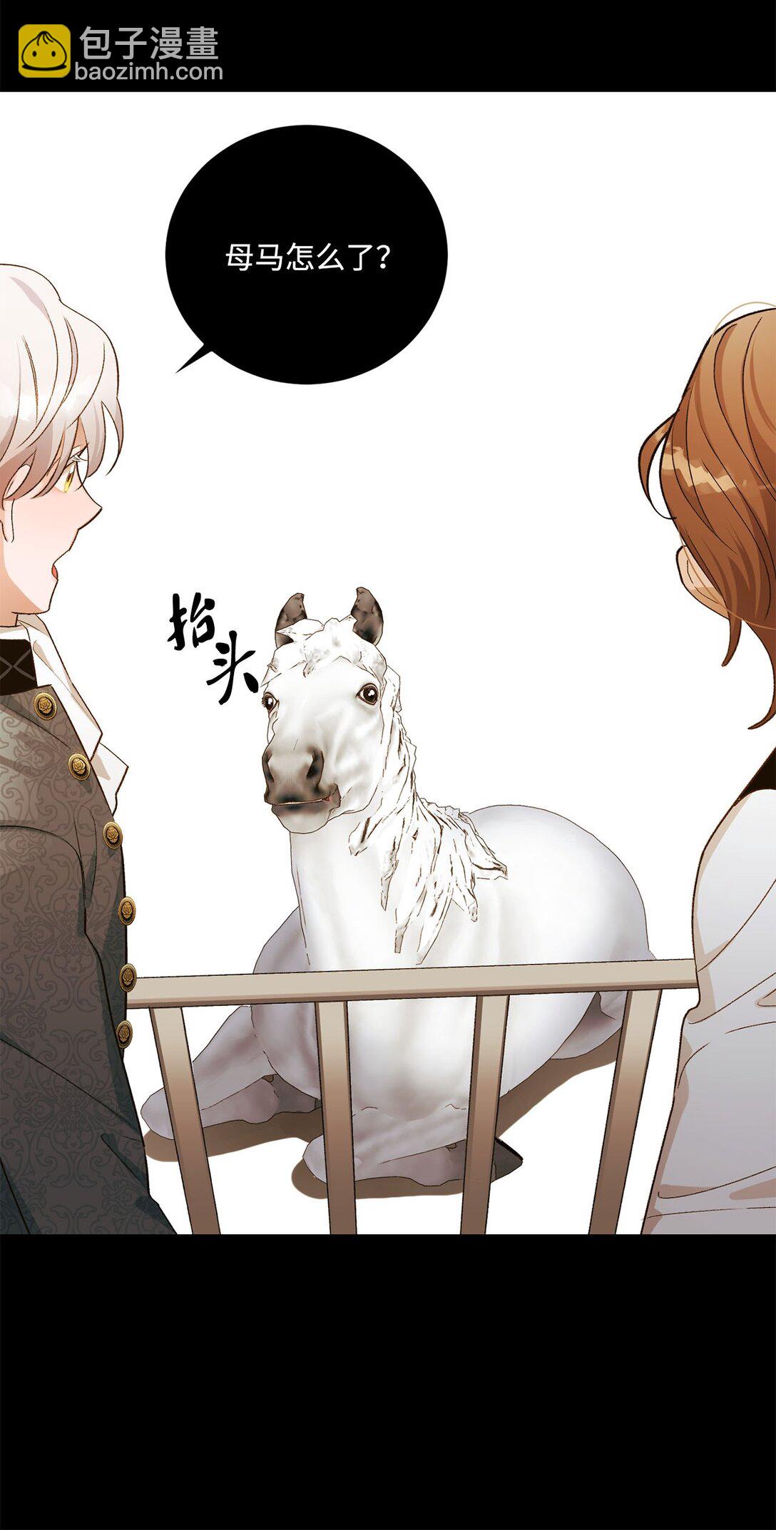 11 魔法之源(1/2)-第11话