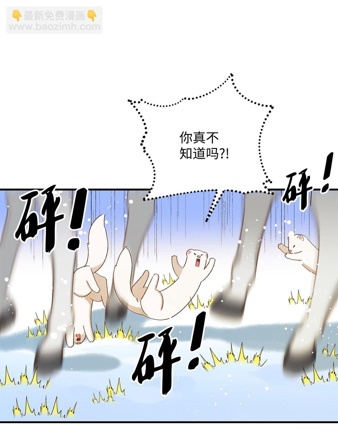 11 魔法之源(1/2)-第11话