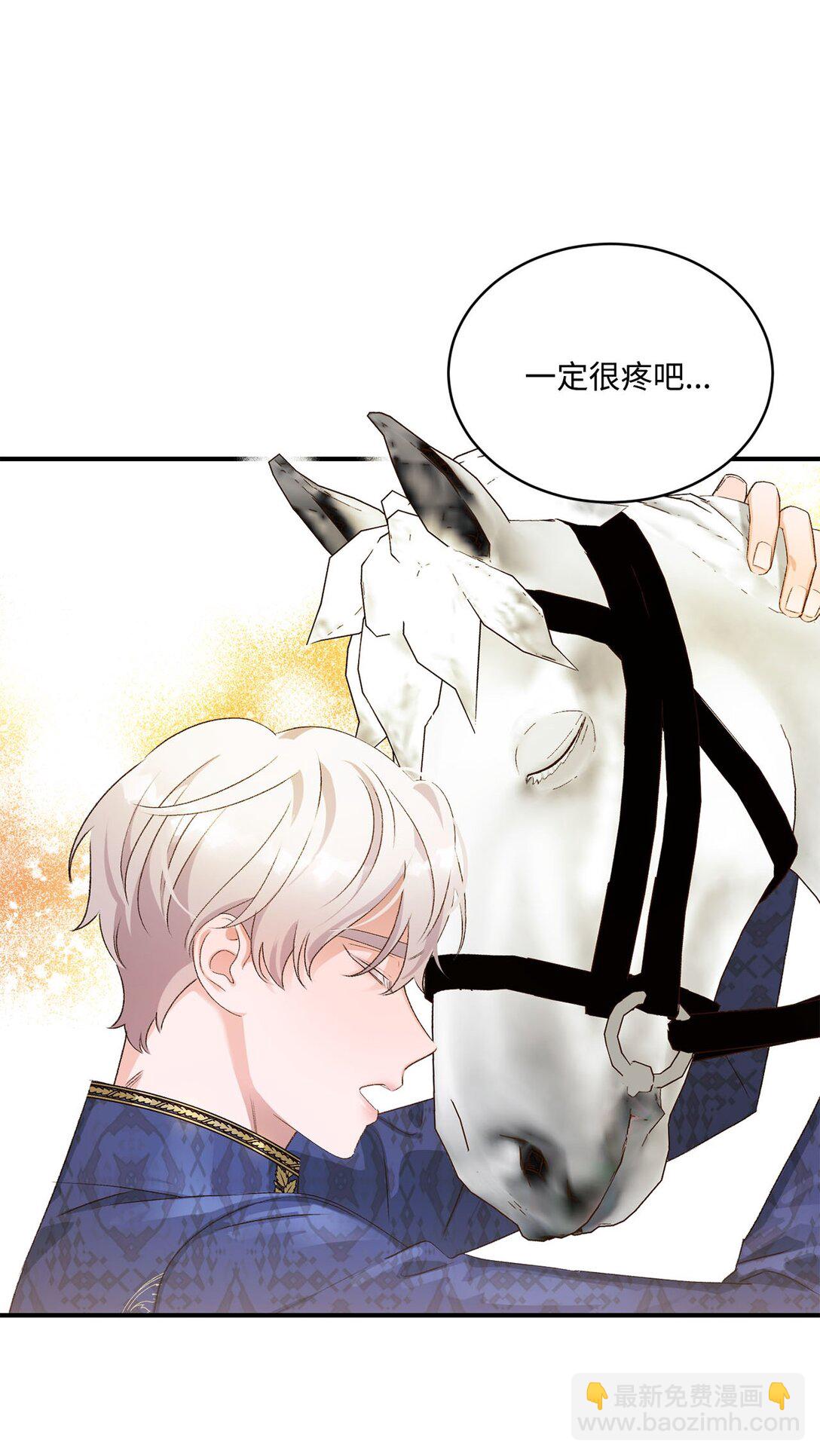 11 魔法之源(1/2)-第11话