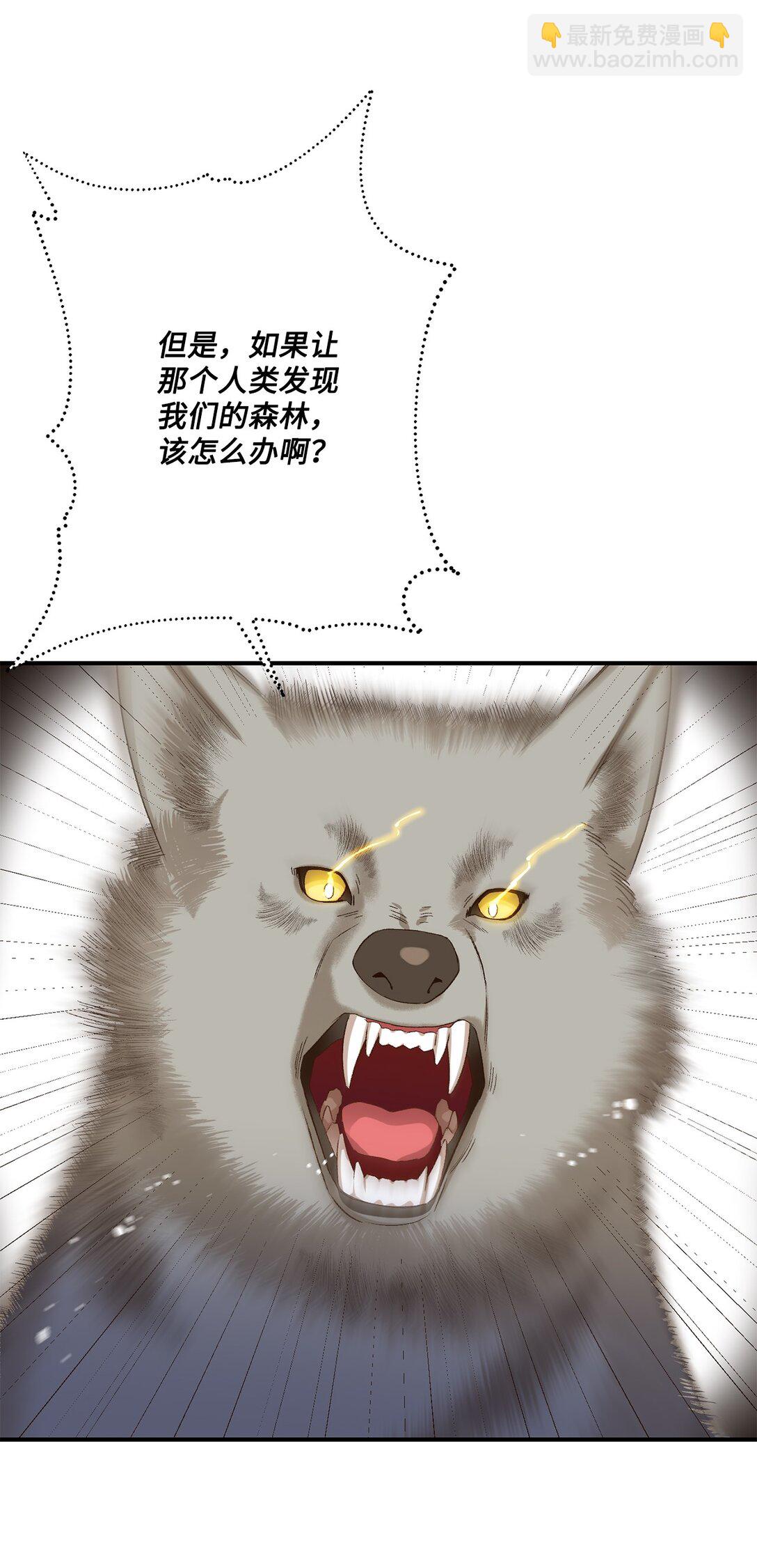 07 灰狼首领的分享(1/2)-第7话