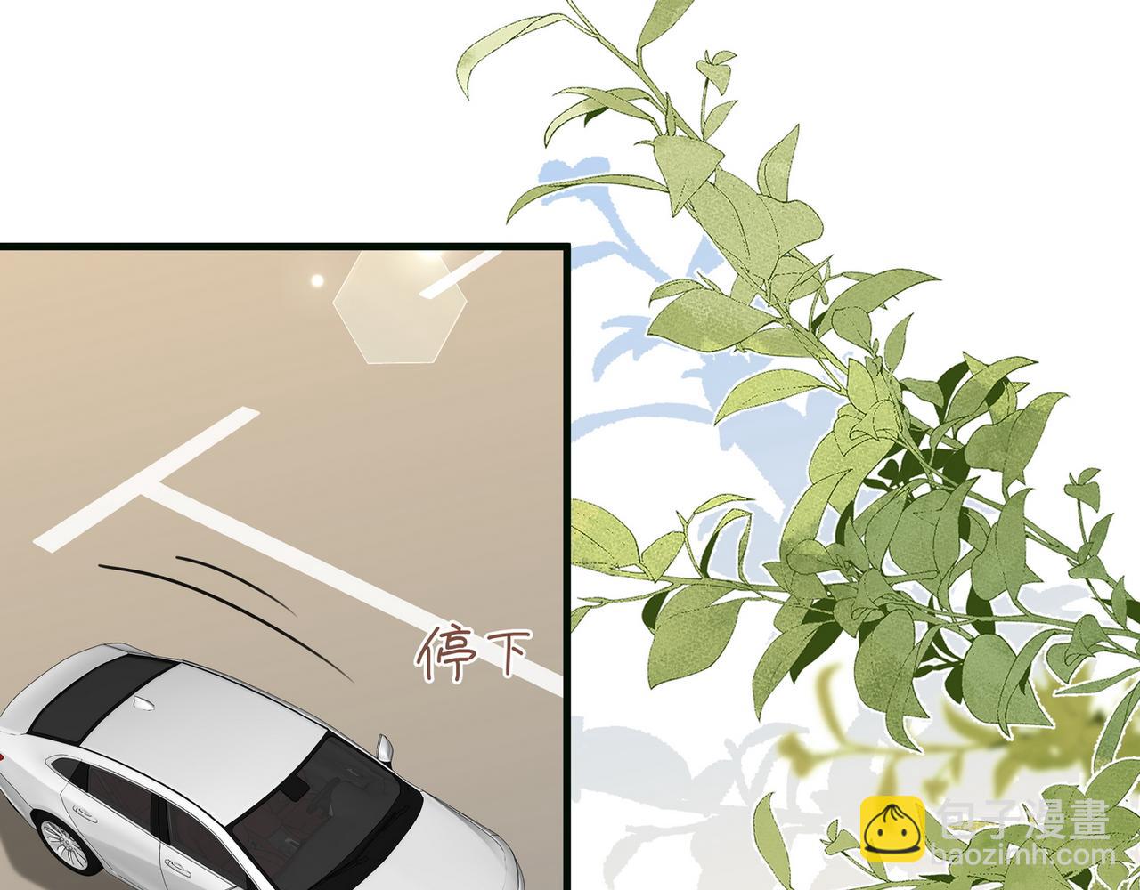 第116话 白月光和她的cp们(1/3)-第119话