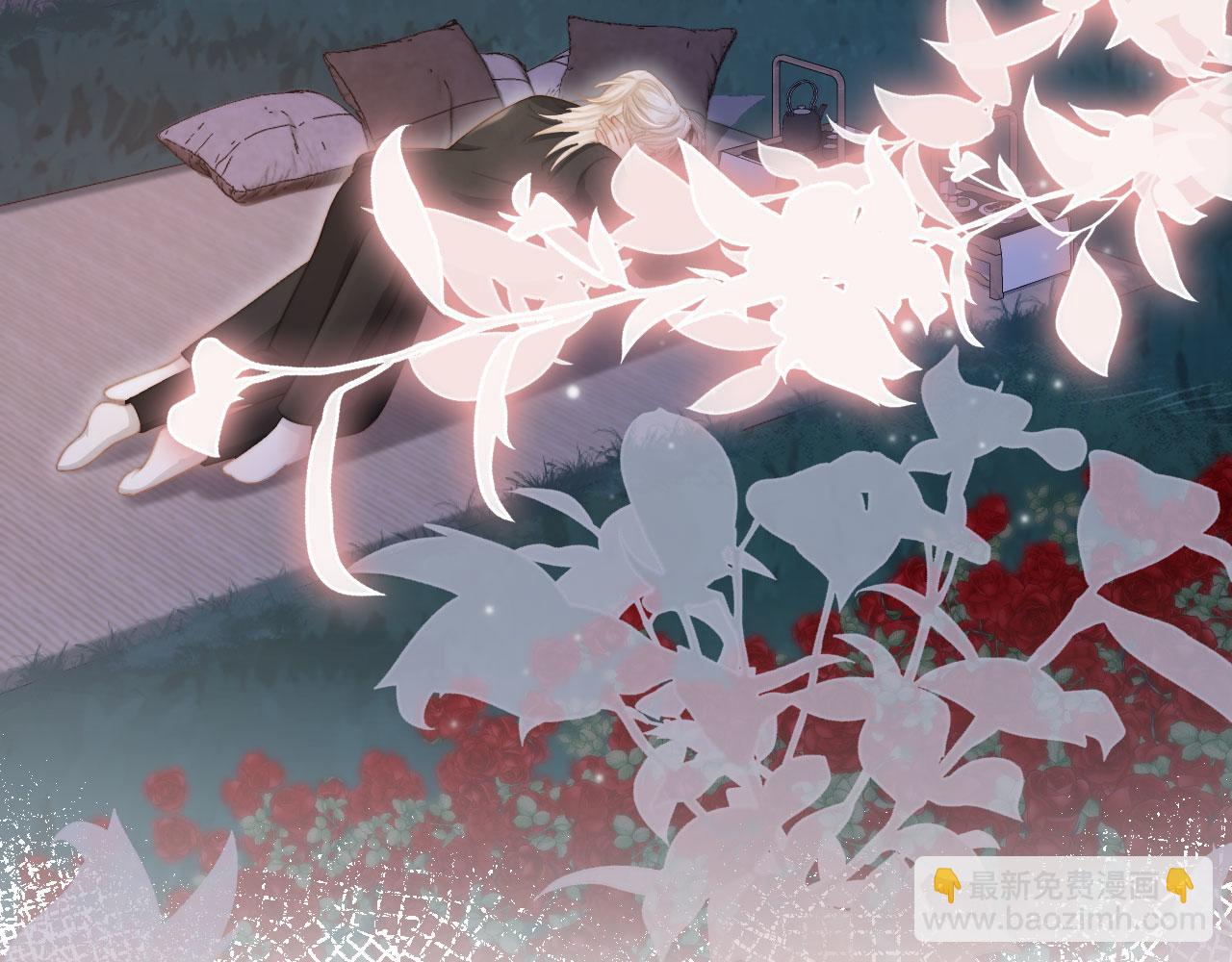 第30话 玫瑰花盛开的夜晚(1/3)-第31话