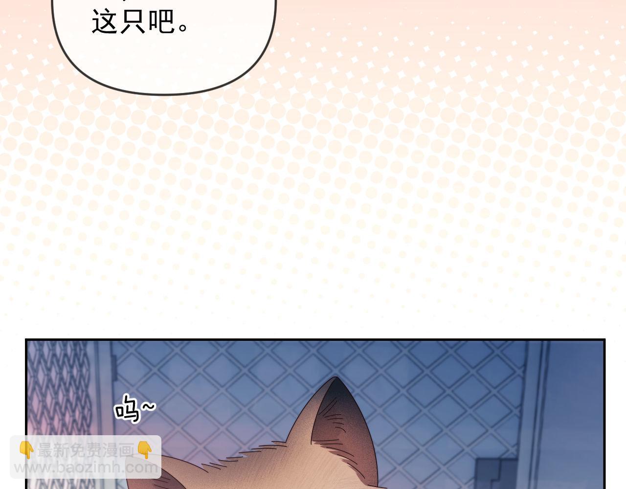 第50话 不是夫妻但胜似夫妻(1/3)-第51话