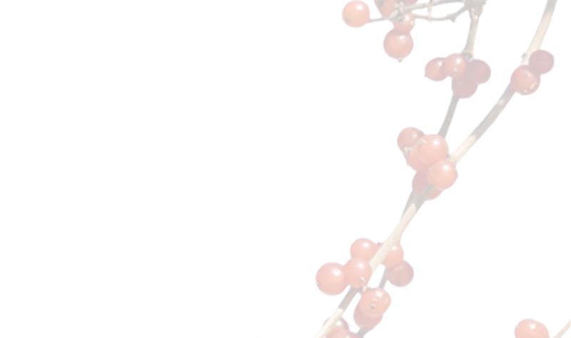 第3话 大师，救救我(1/2)-第3话