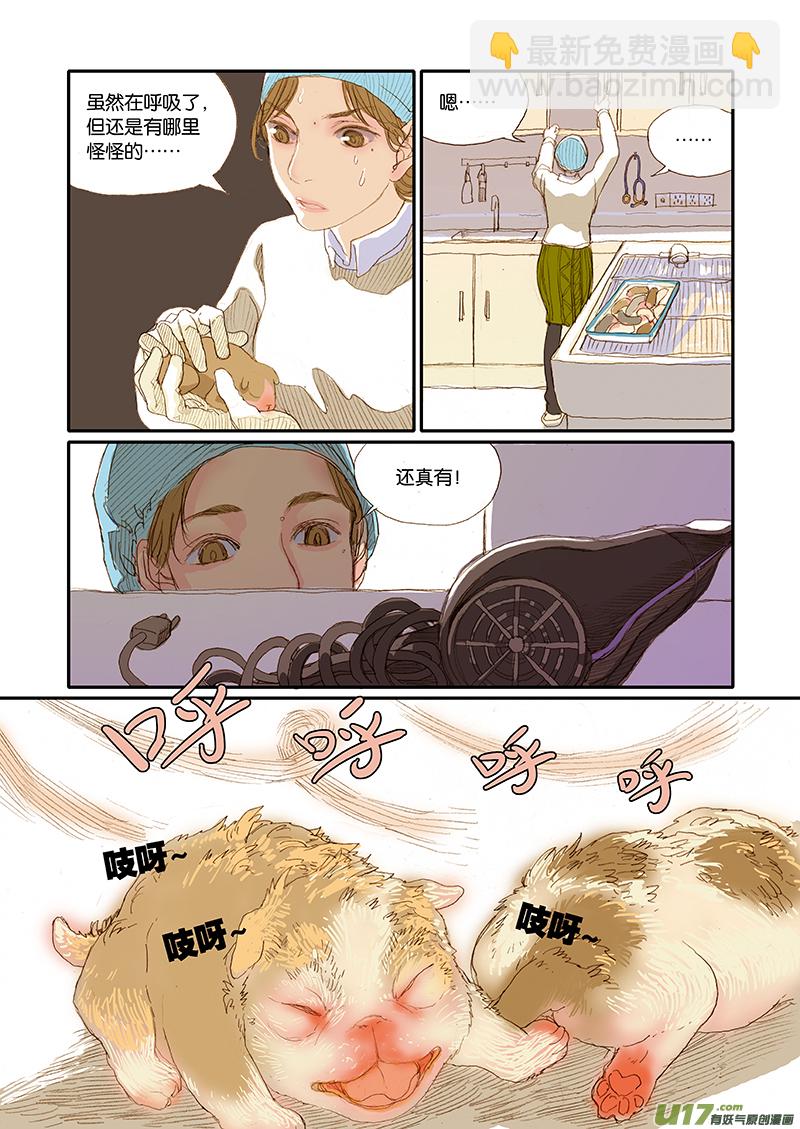 001犬剖宫产-第1话