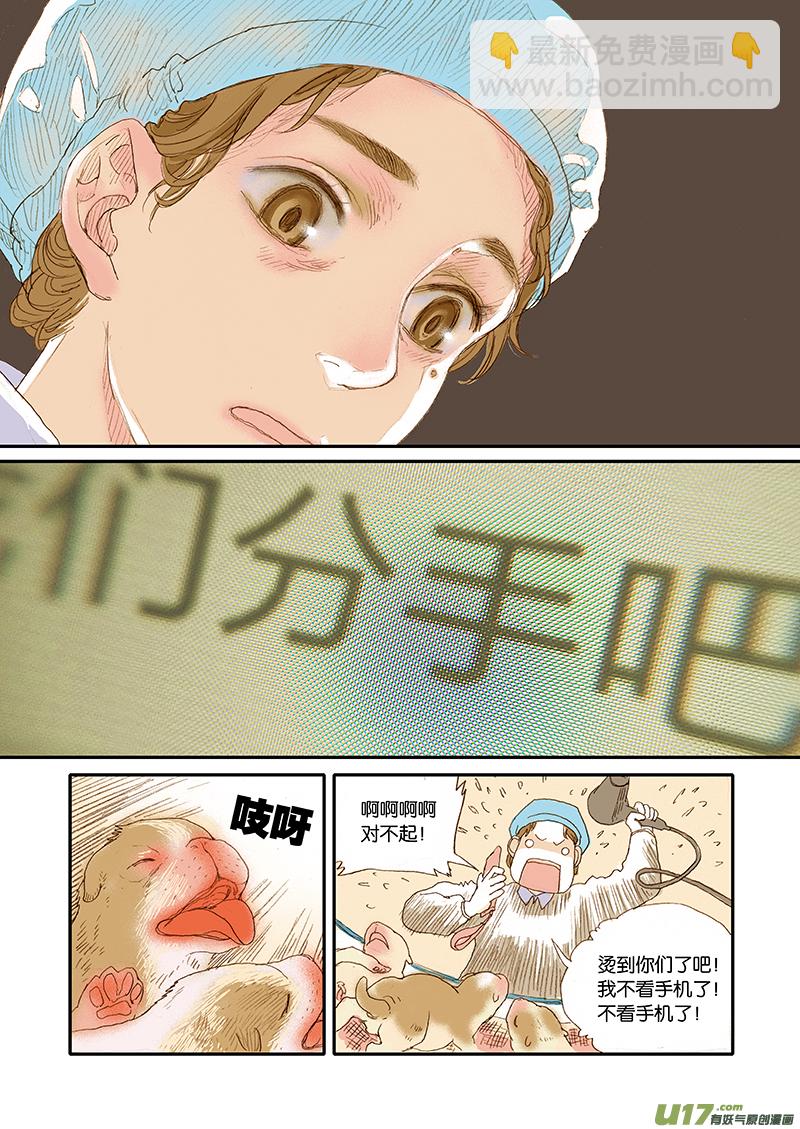 001犬剖宫产-第1话