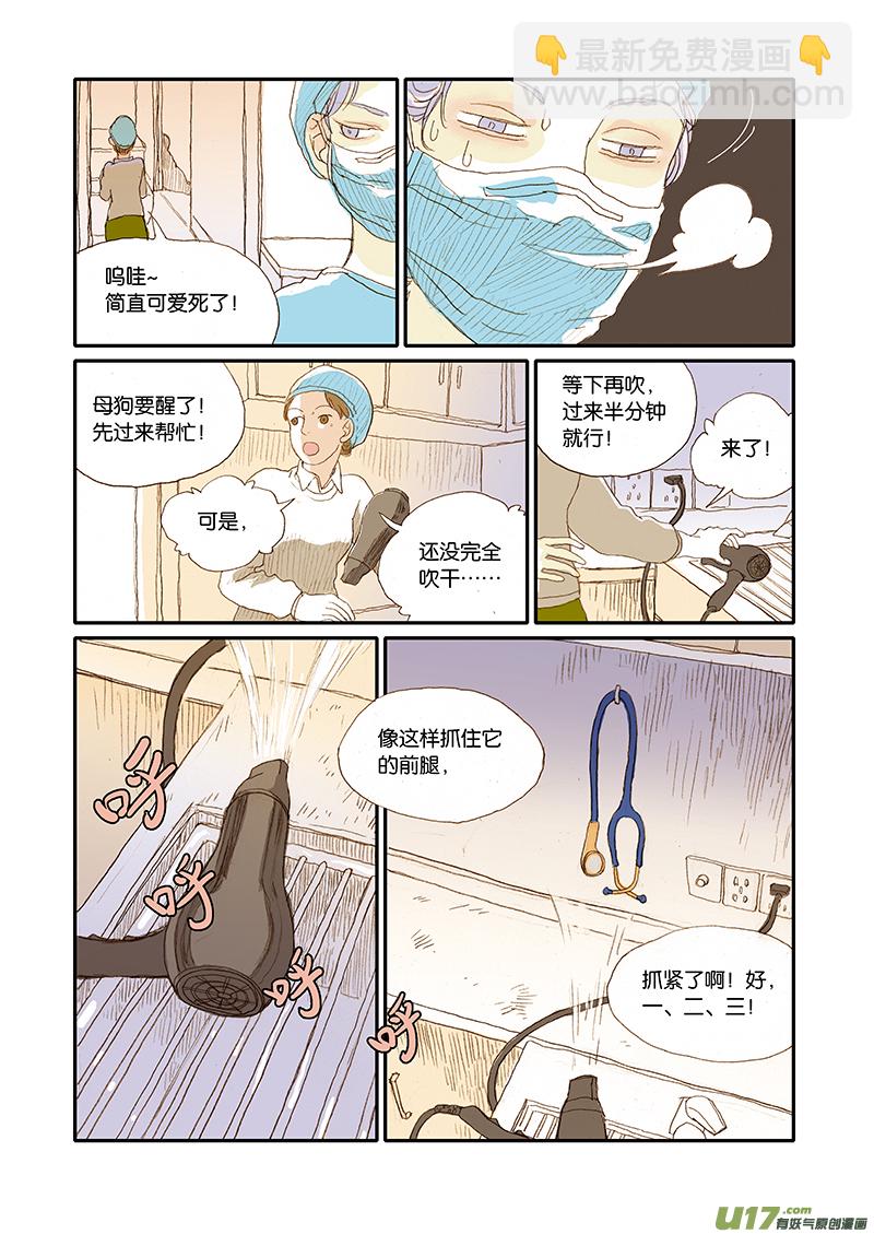 001犬剖宫产-第1话