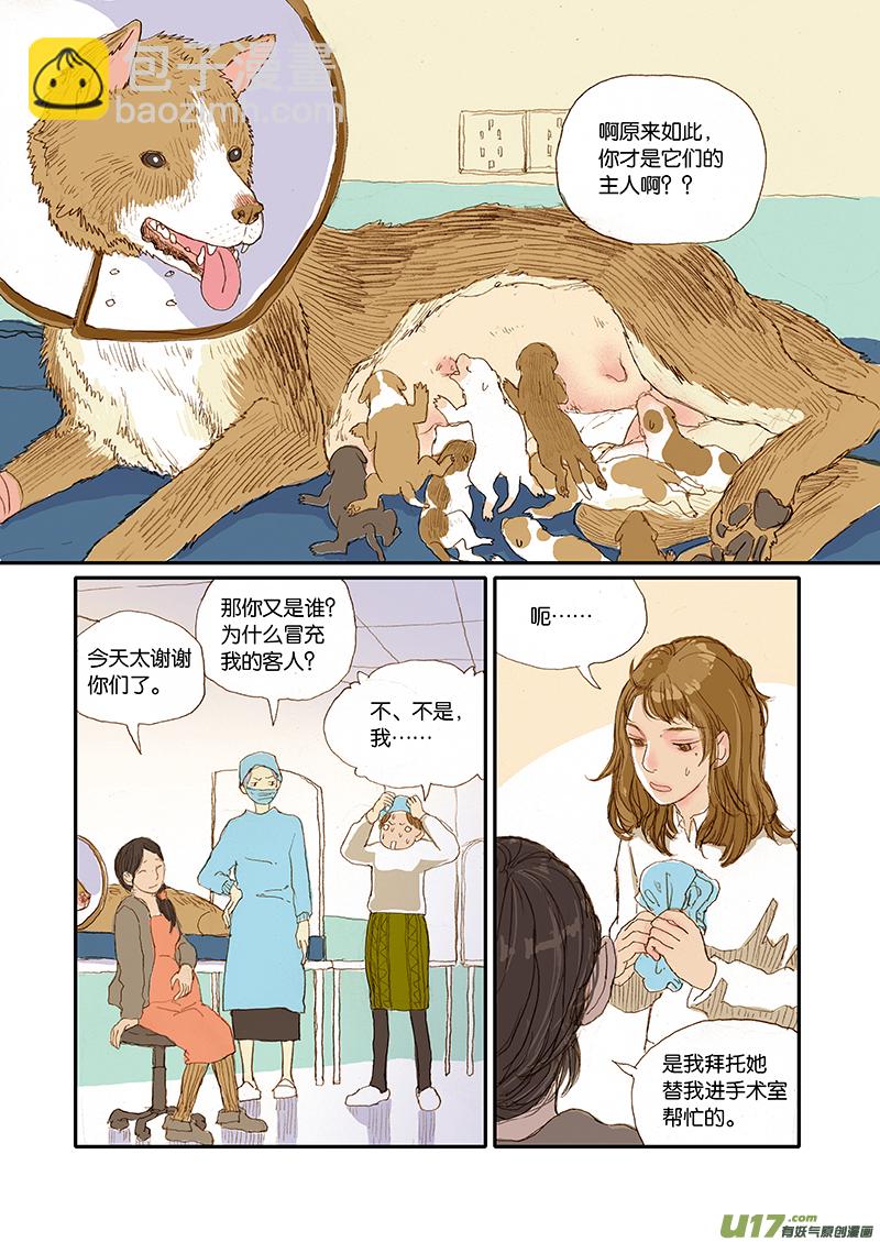 001犬剖宫产-第1话