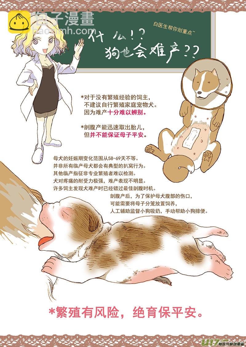 001犬剖宫产-第1话