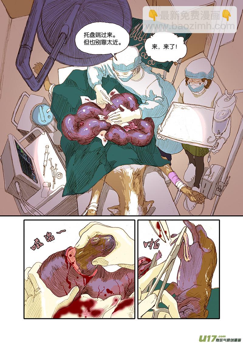 001犬剖宫产-第1话