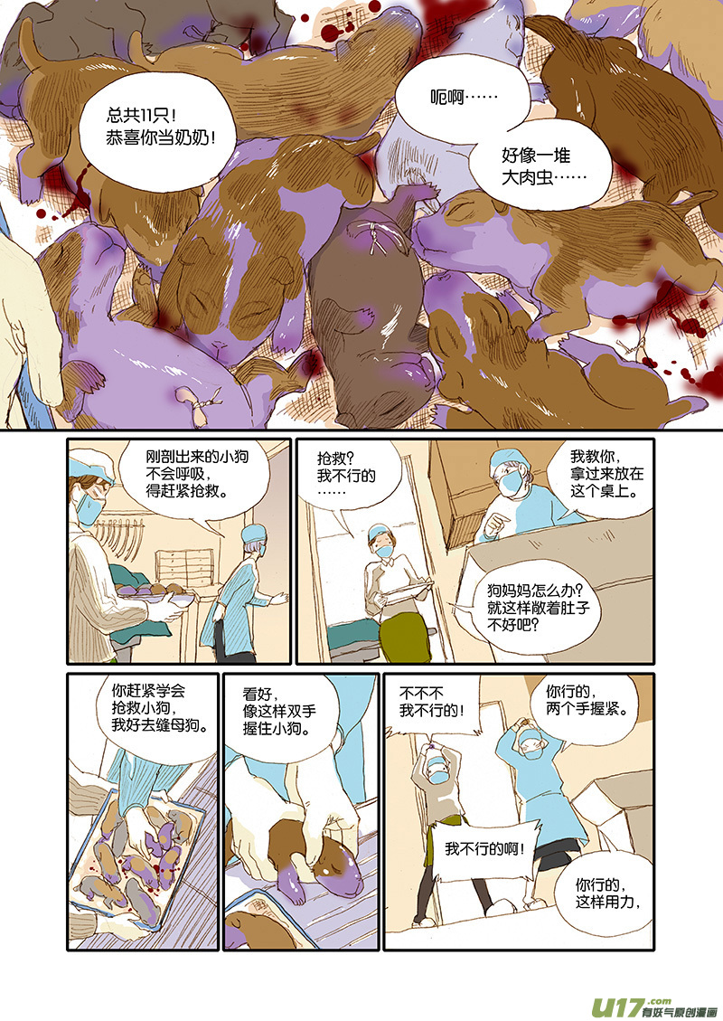001犬剖宫产-第1话