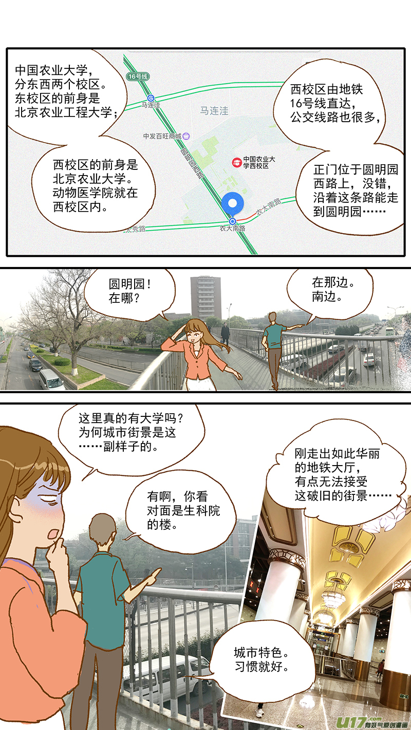 107 中国农业大学动物医院-第107话