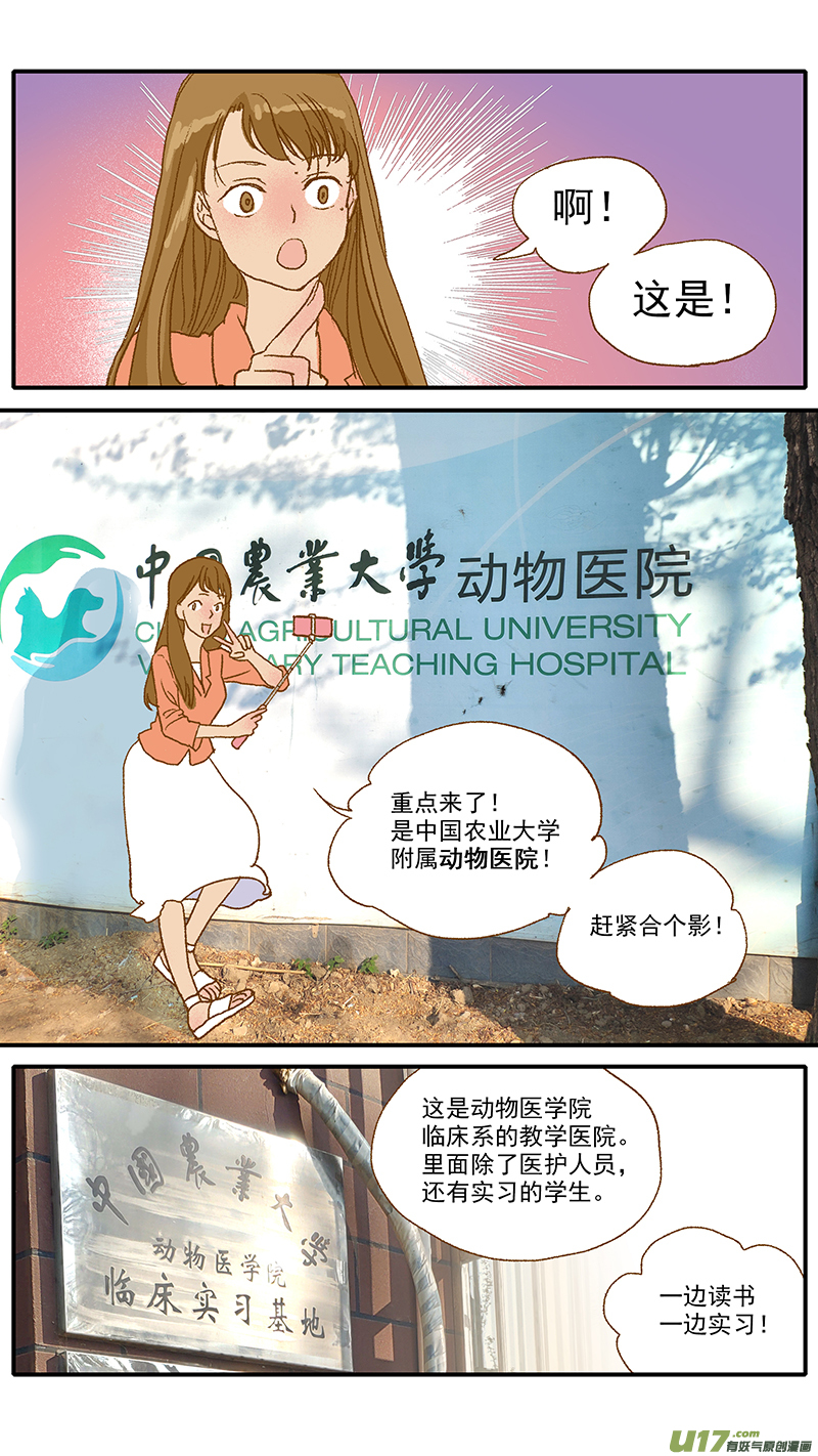 107 中国农业大学动物医院-第107话