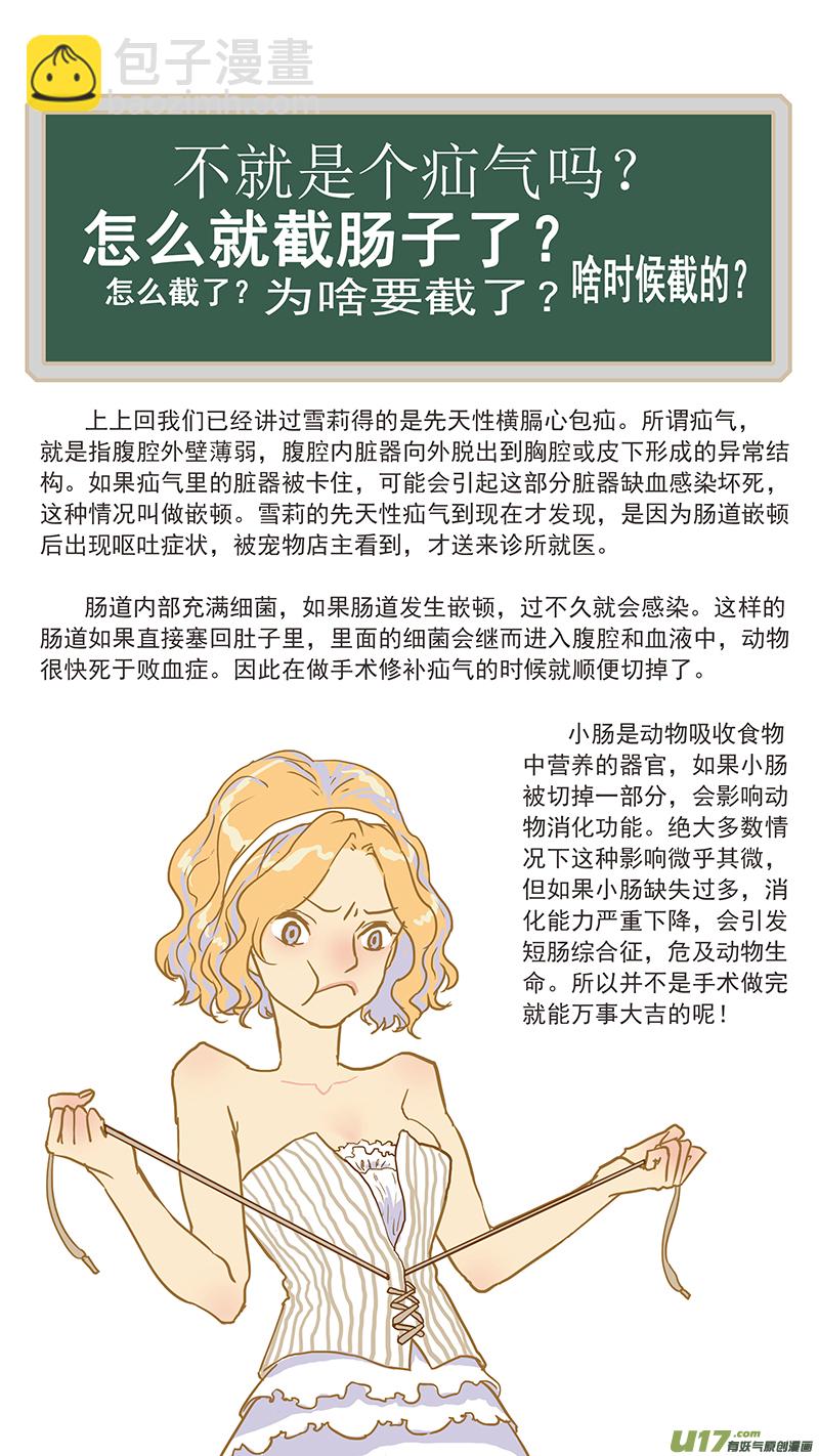 113 肠道嵌顿-第113话