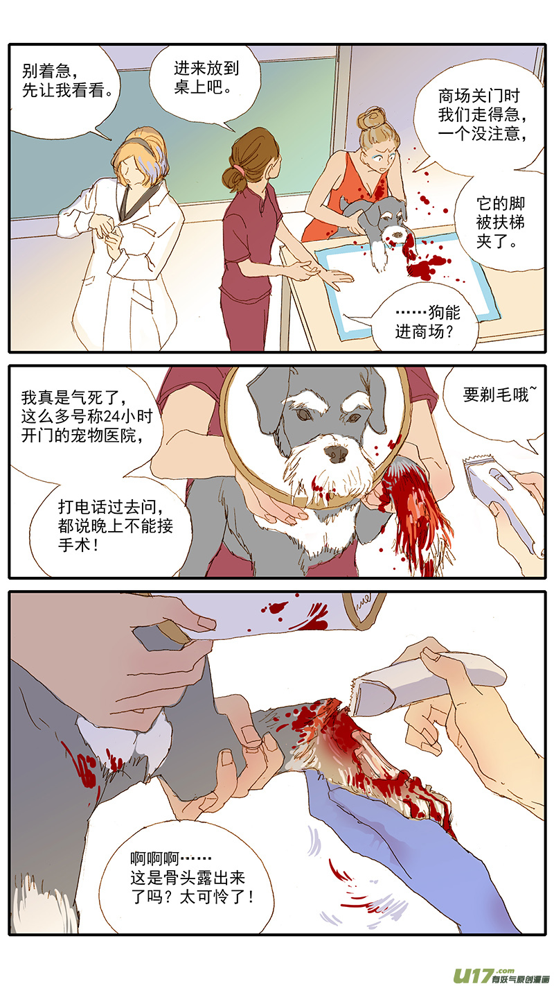 115 袖套状撕脱（管形皮瓣术）-第115话