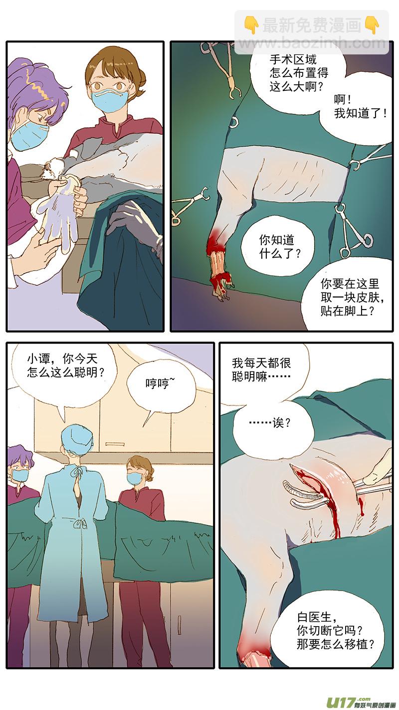 115 袖套状撕脱（管形皮瓣术）-第115话