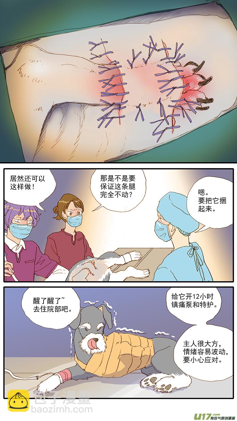 115 袖套状撕脱（管形皮瓣术）-第115话