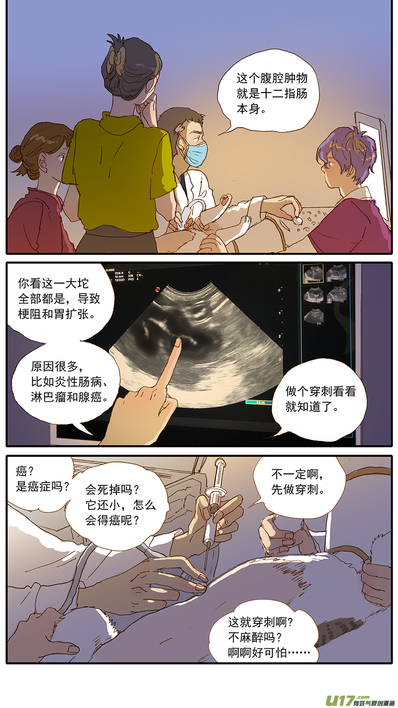 123 猫嗜酸性肠炎-第123话