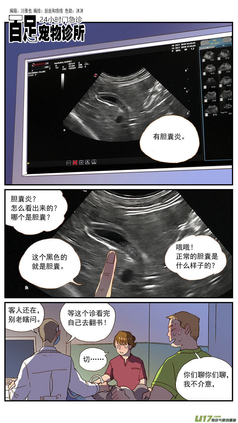 131 猫胆囊炎-第131话