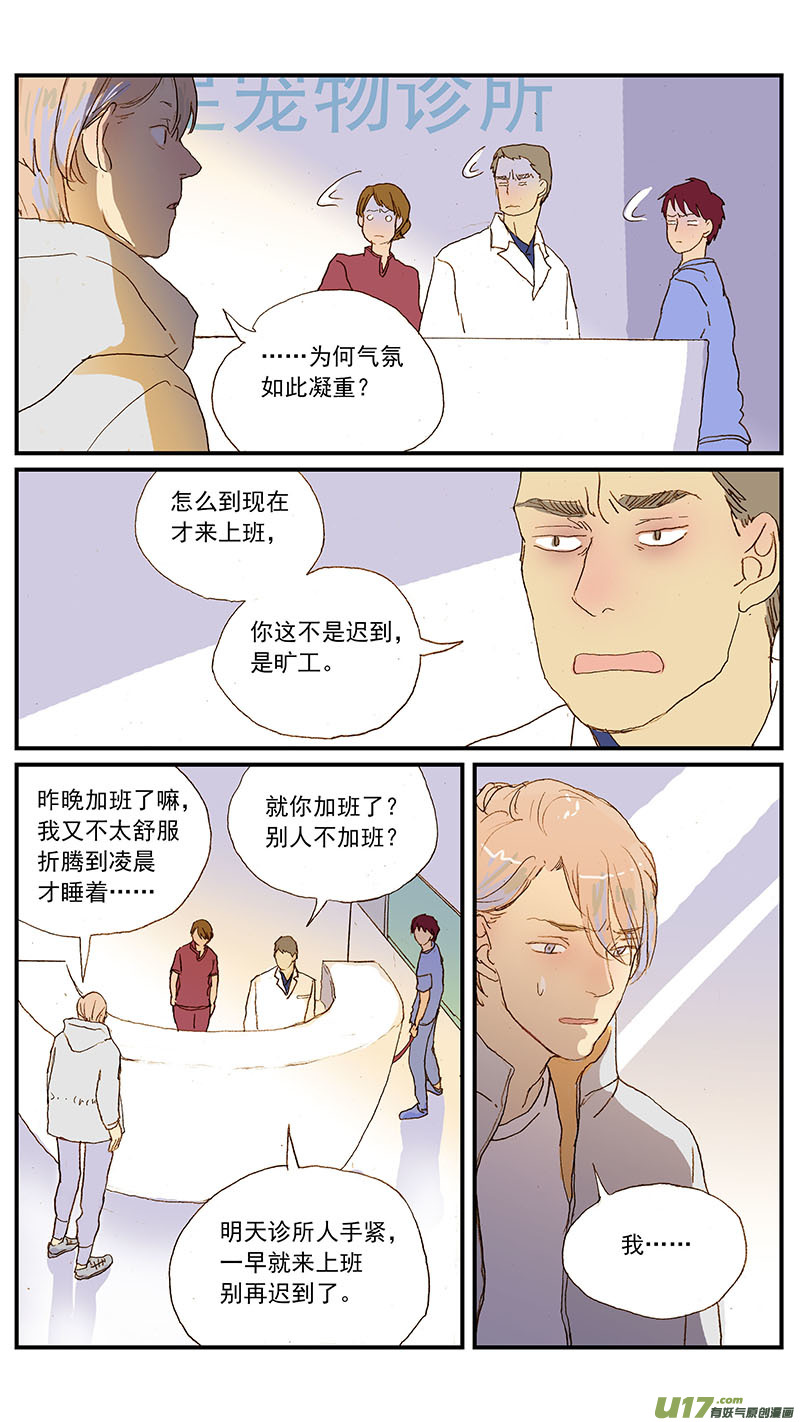 131 猫胆囊炎-第131话