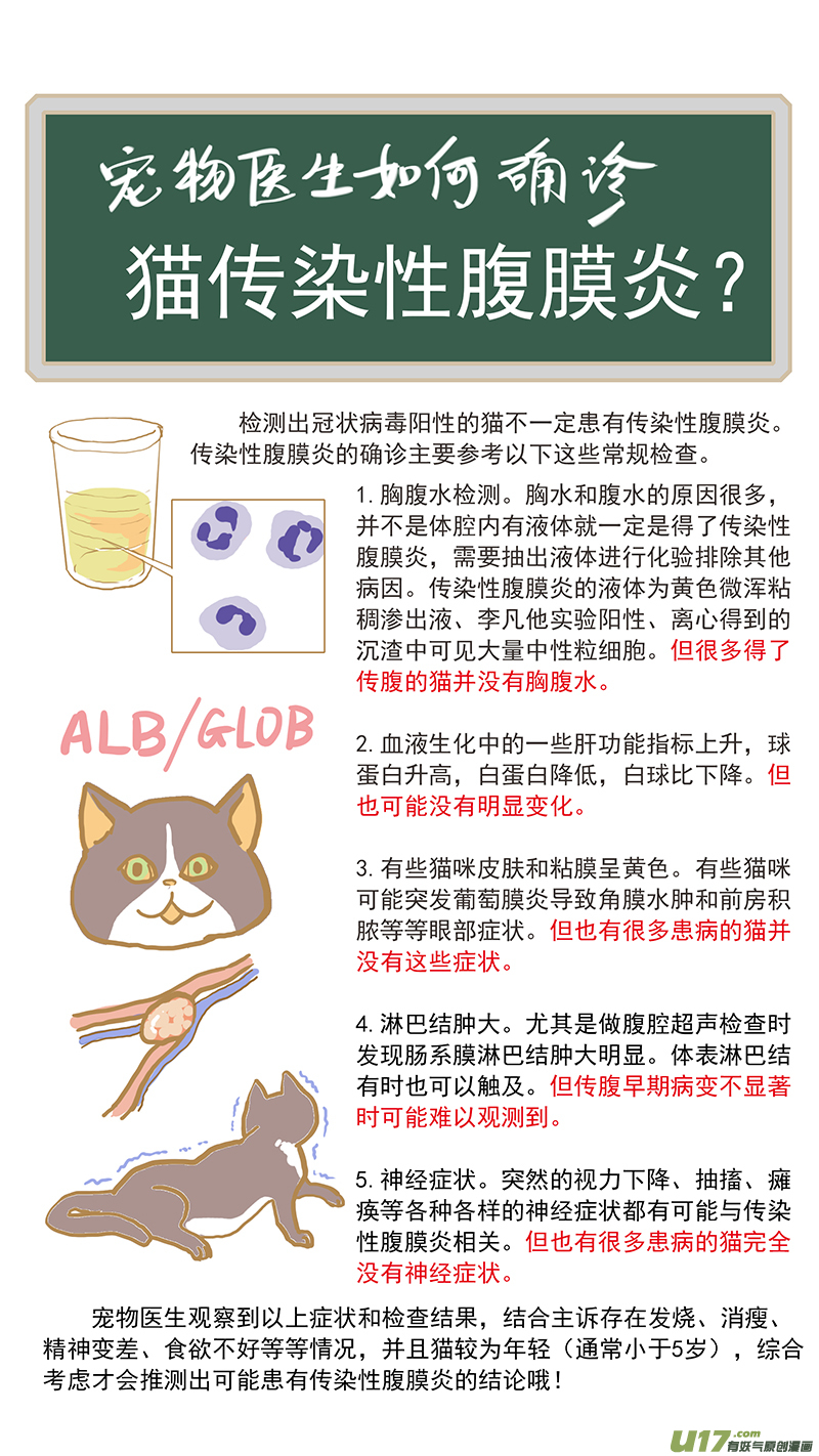 131 猫胆囊炎-第131话